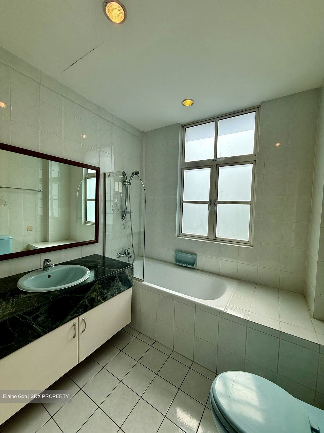 La Suisse (D11), Condominium #576726411
